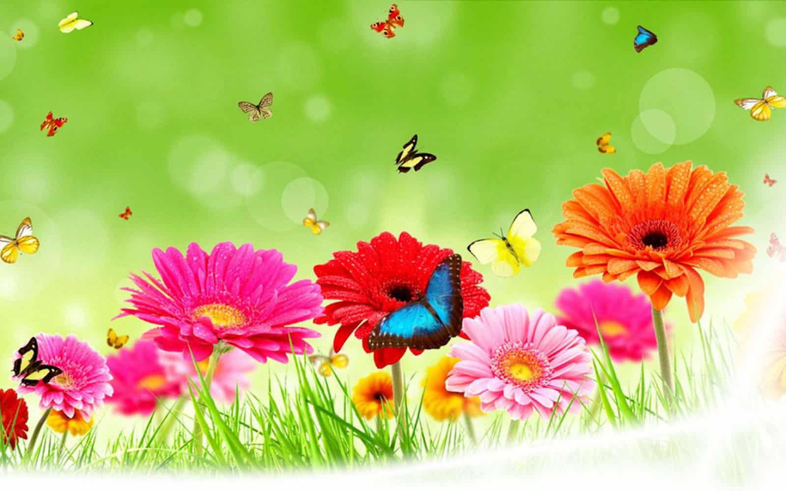 Floral&Butterflies