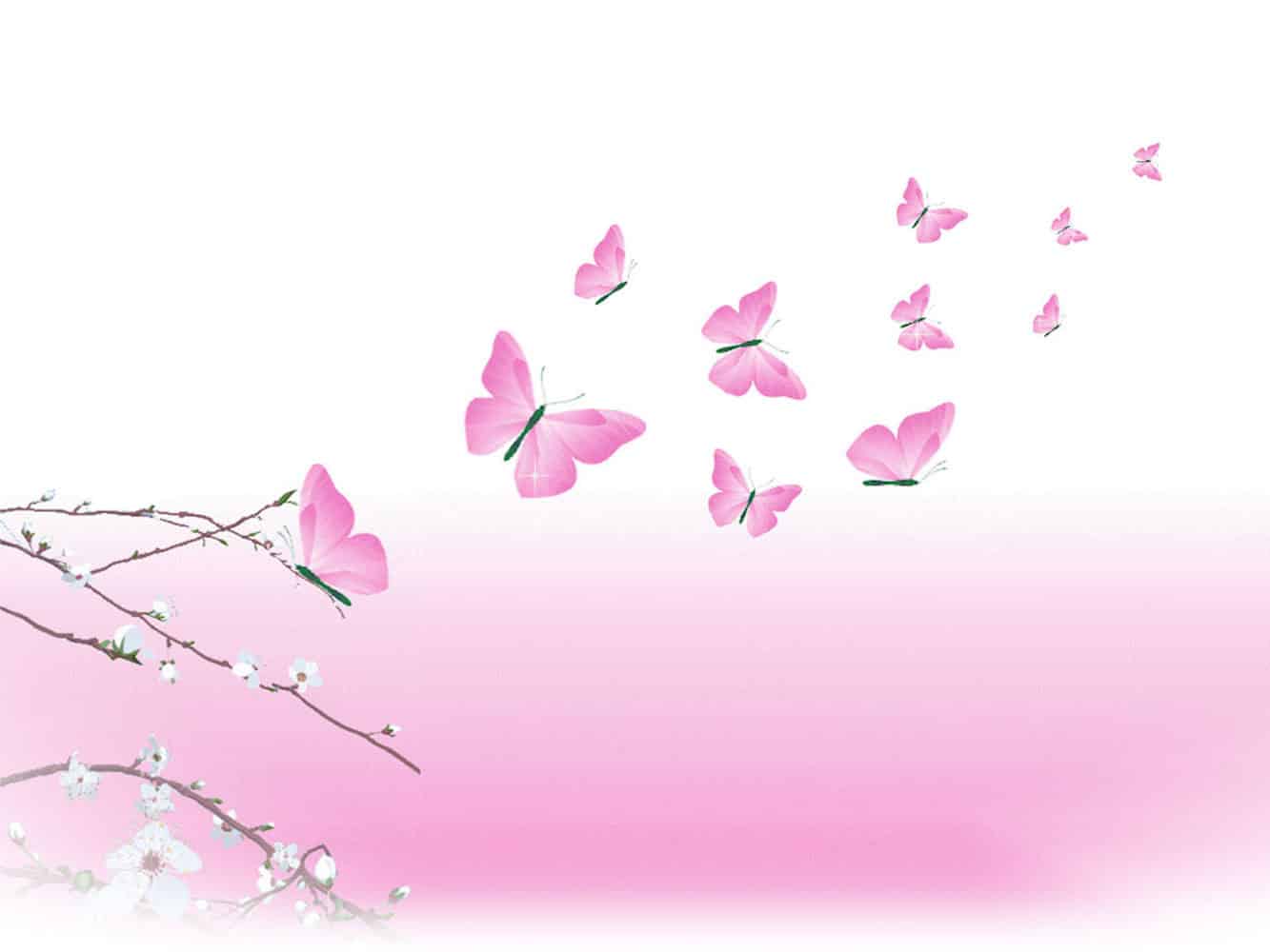 PinkButterfly